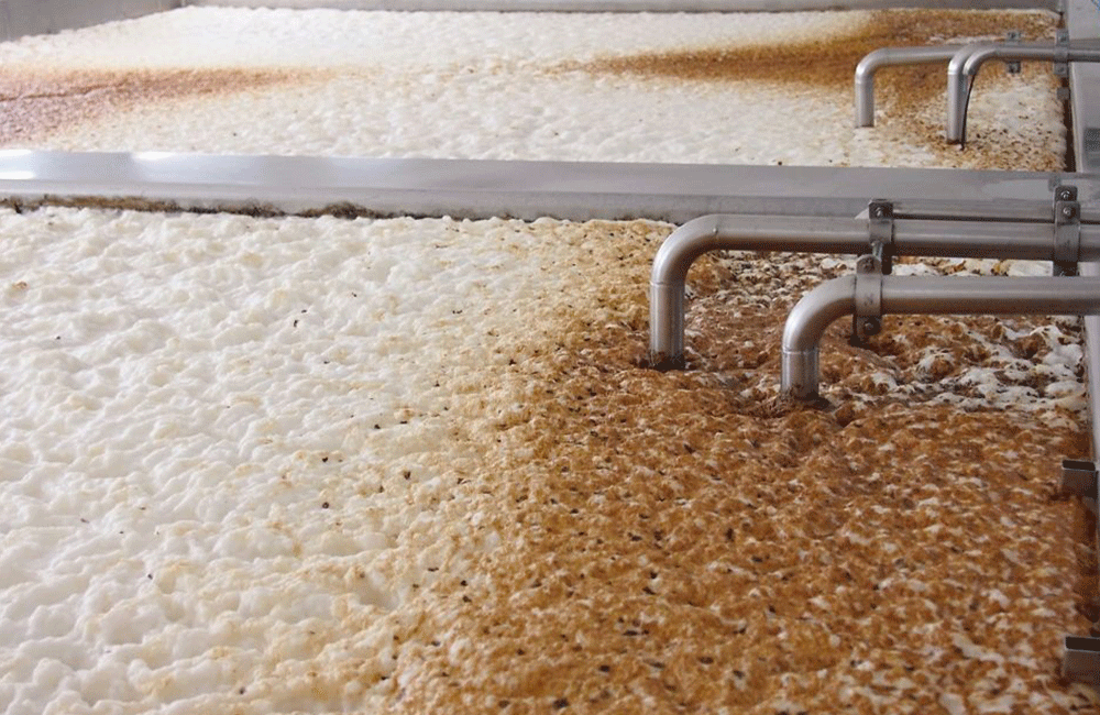  Fermentation tank,brewery equipment