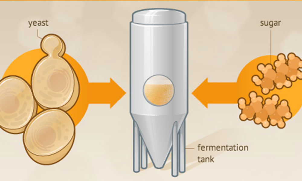 stainless steel fermenters,beer fermenters